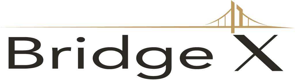 BridgeX